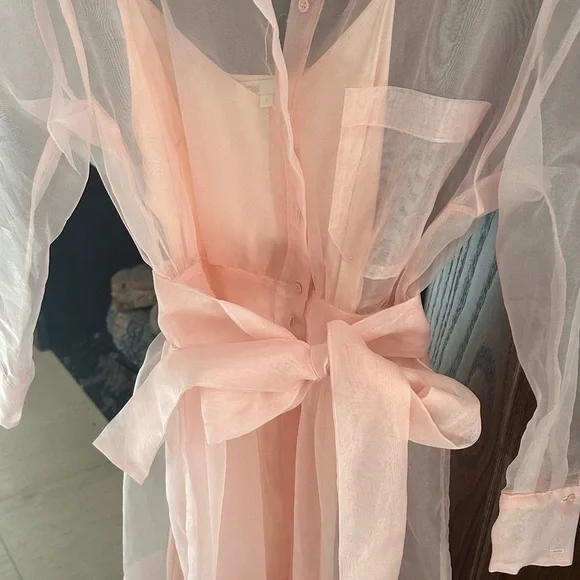 Maje Light Pink Sheer Shirt dress - Picture 3 of 4